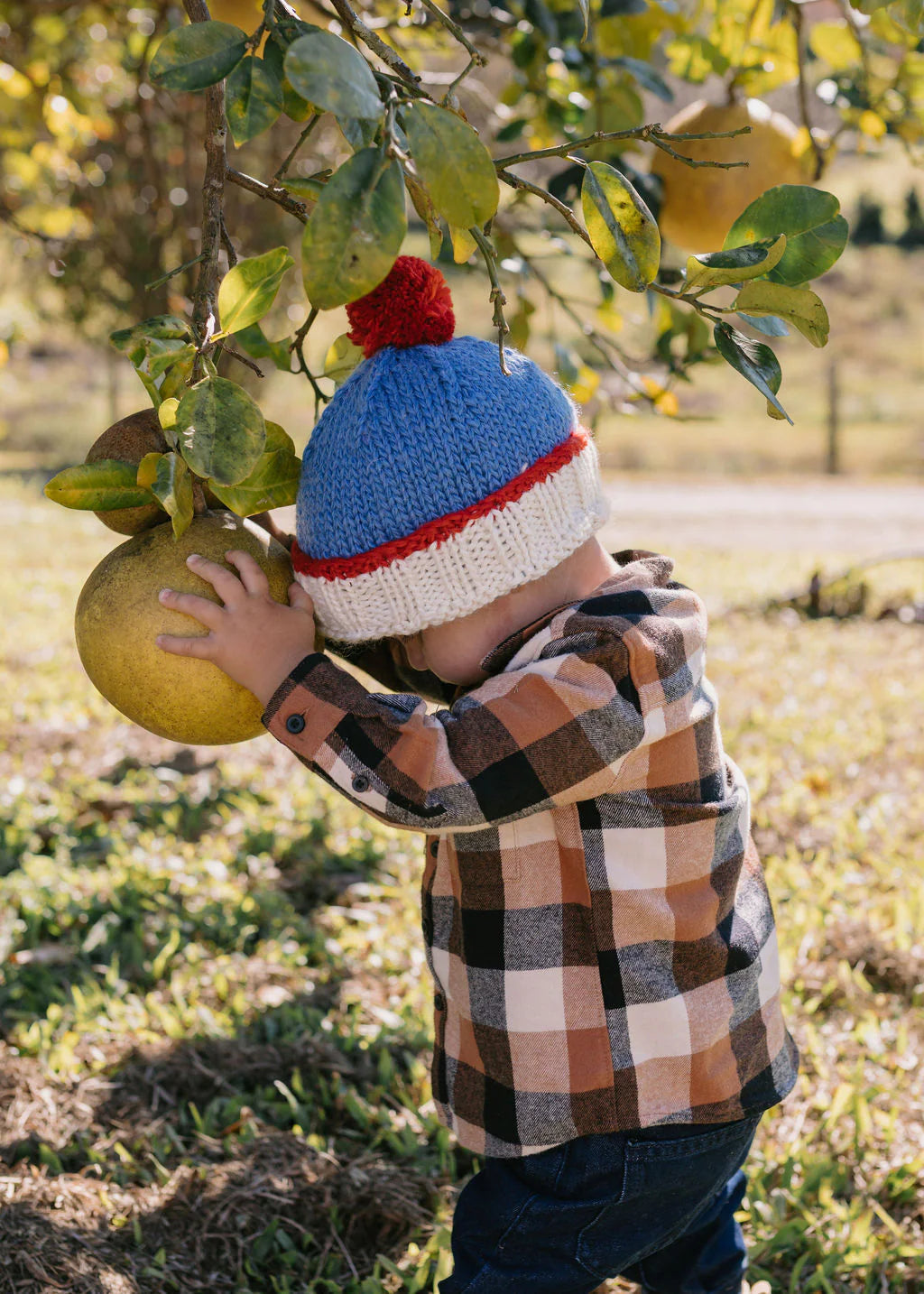 Teddy Beanie - Blue & Red