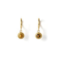 Asher Earrings- Tigers Eye