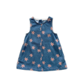 Organic Starlight Denim Dress