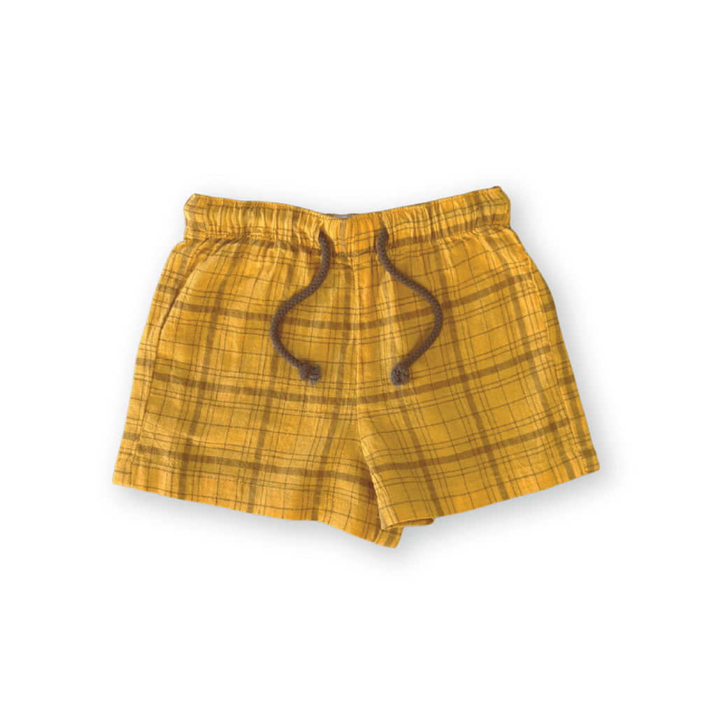 Plaid Shorts
