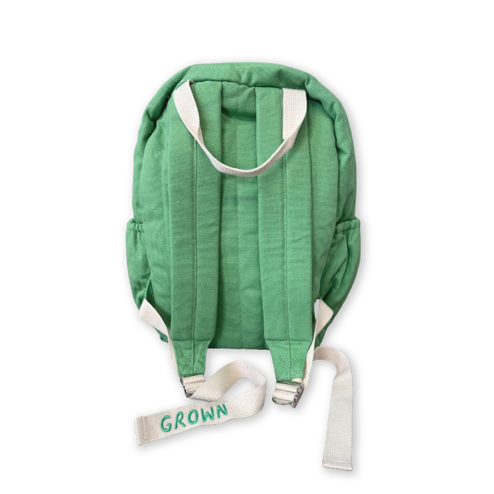 Everyday Backpack - Apple