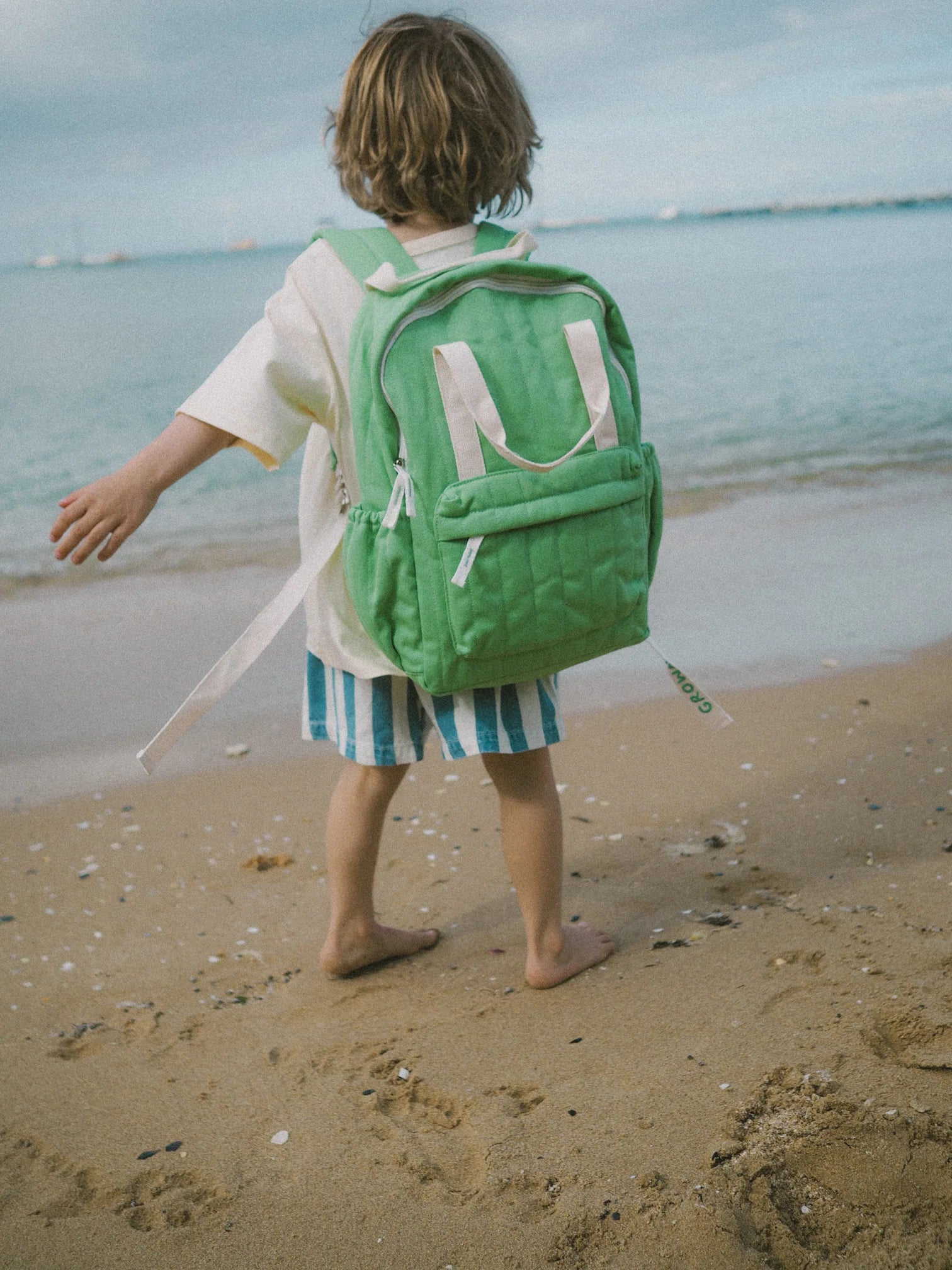 Everyday Backpack - Apple