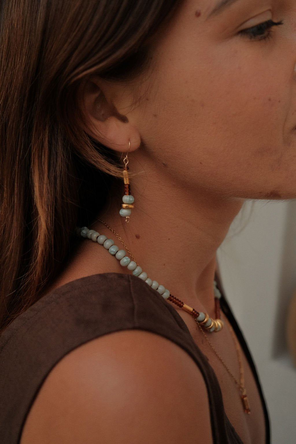 Aqua & Chestnut Drop Earrings