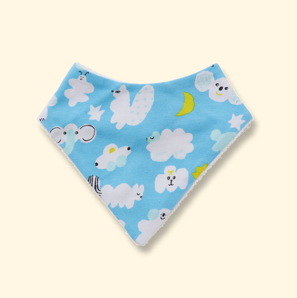I Spy in the Sky Baby Bib