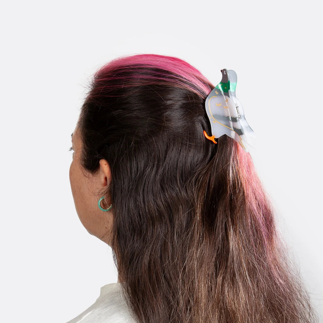 Hair Claw Pigeon