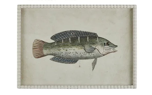 Pez Frame Glass Print