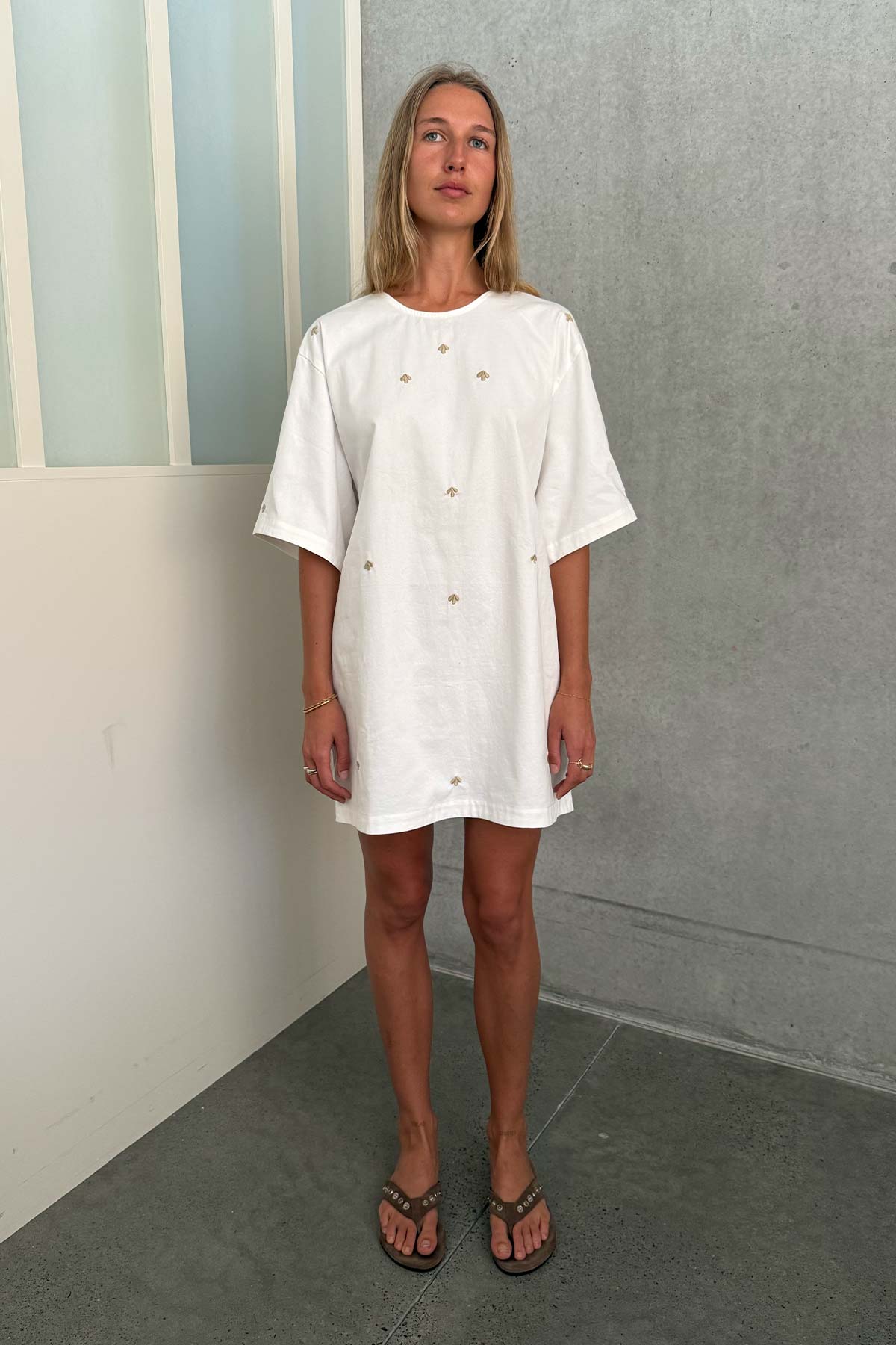 Farrah Embroidered Mini Dress