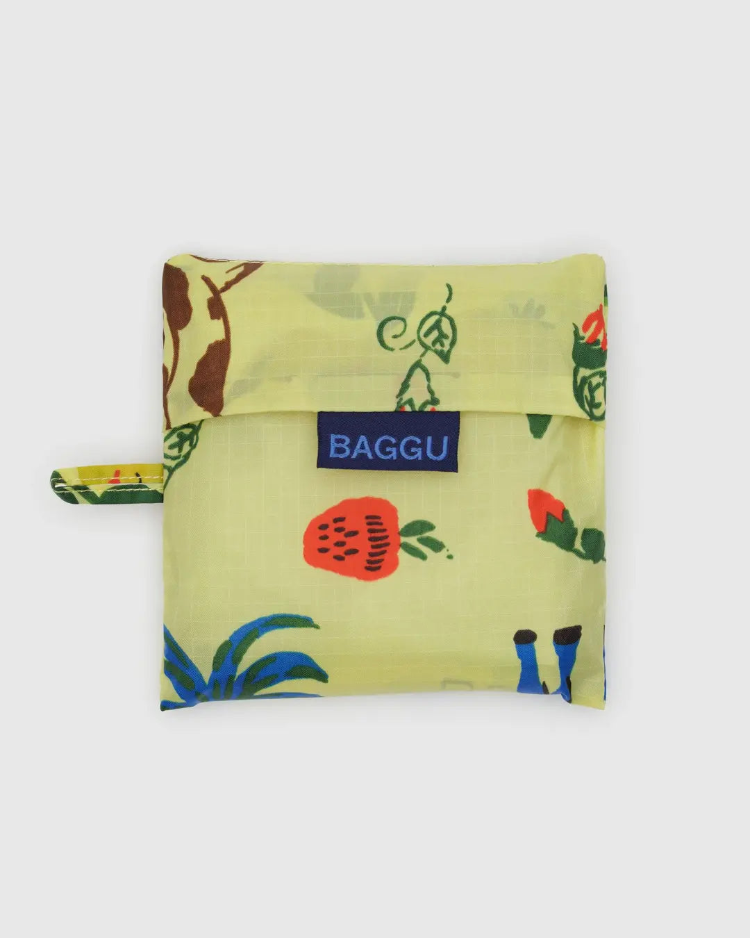 Standard Baggu- Painted Prairie